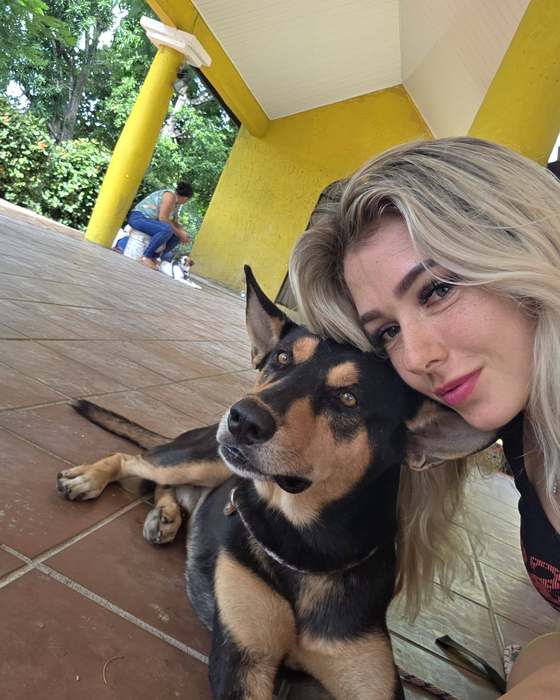 A rescued dog with a volunteer