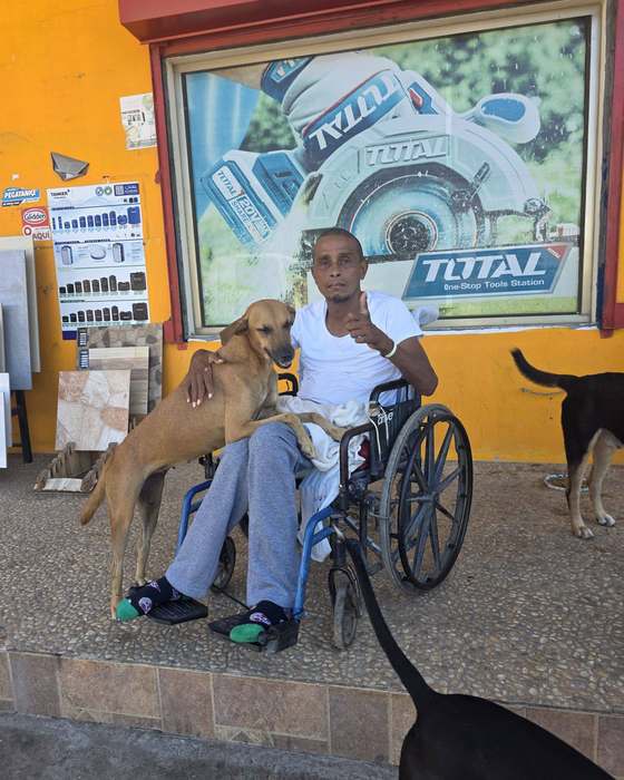 A neighbor and his dogs receiving support